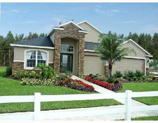 31548 Bearded Oak Dr., Wesley Chapel, FL 33543