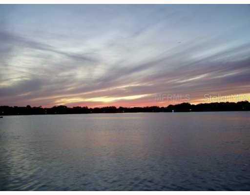 10817 Indigo Point Ln., Tampa, FL 33612