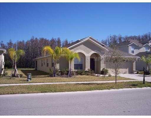 3527 Chessington Dr., Land O Lakes, FL 34638