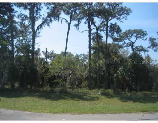 2622 Tylers River Run, Lutz, FL 33559