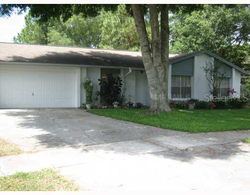 13305 Lake George Pl., Tampa, FL 33618