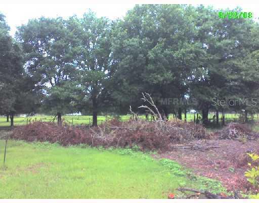 3547 Gallagher Rd., Dover, FL 33527