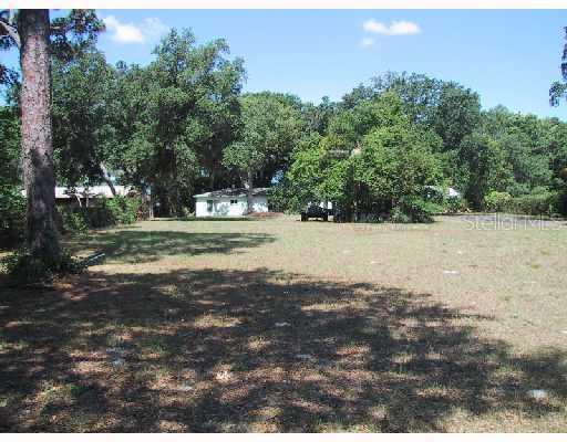 16574 Hutchison Rd., Odessa, FL 33556