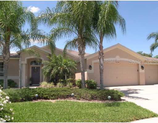 22240 Willow Lakes Dr., Lutz, FL 33549