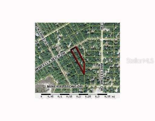 34210 Umbrella Rock Dr., Webster, FL 33597