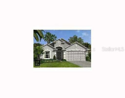 10344 Celtic Ash Dr., Ruskin, FL 33573