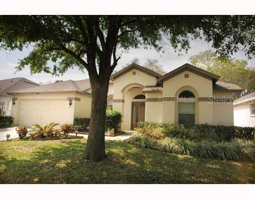 12816 Big Sur Dr., Tampa, FL 33625