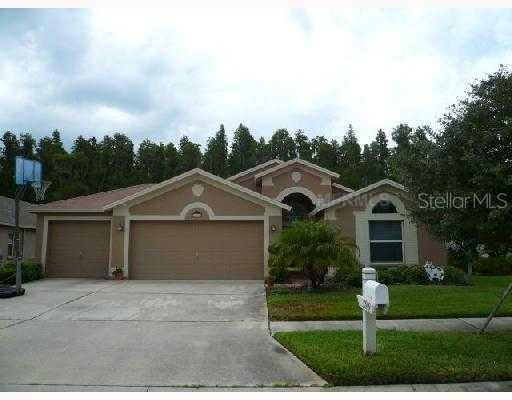 30909 Iverson Dr., Wesley Chapel, FL 33543
