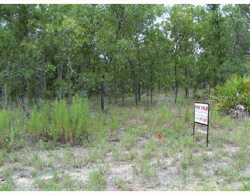 11107 Kodiak Wren Rd, Brooksville, FL 34614