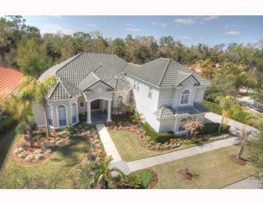 16334 Heathrow Dr., Tampa, FL 33647