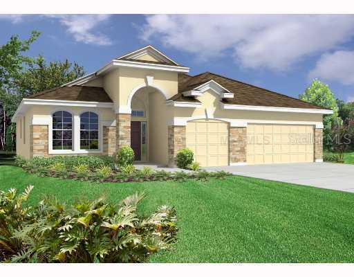 8602 White Poplar Dr., Riverview, FL 33578