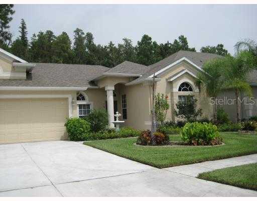 3445 Loggerhead Way, Wesley Chapel, FL 33544