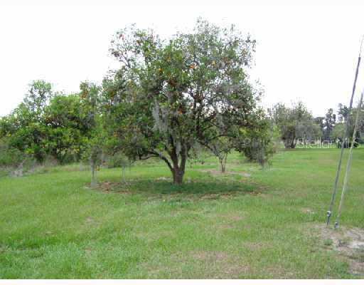 9435 Eddings Rd., Odessa, FL 33556