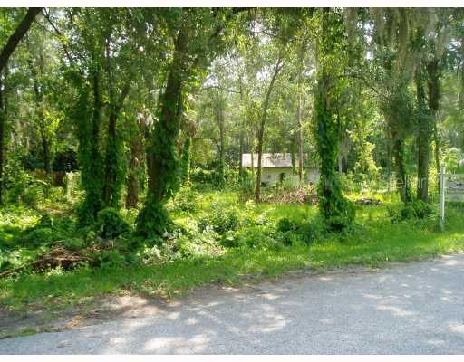 110 Augusta Pl., Lutz, FL 33549