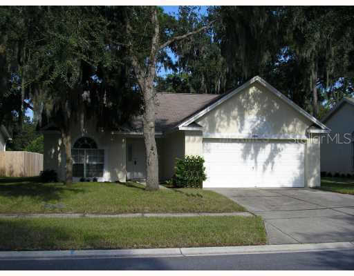 4608 Lighterwood Way, Valrico, FL 33594