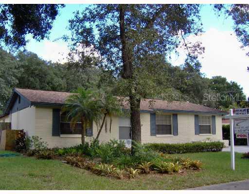 2232 Selkirk St., Valrico, FL 33594
