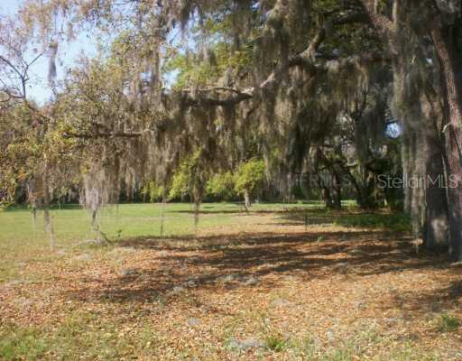 2415 Red Barn Dr., Lutz, FL 33549