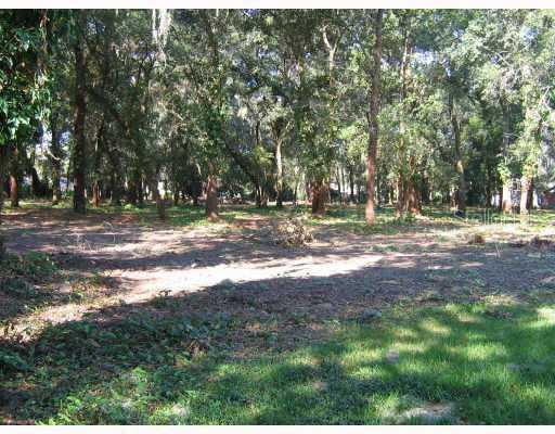 Valrico Road, Lot 2, Valrico, FL 33594