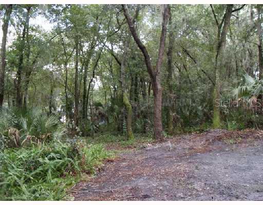 1 Alafia Ridge Loop, Riverview, FL 33569