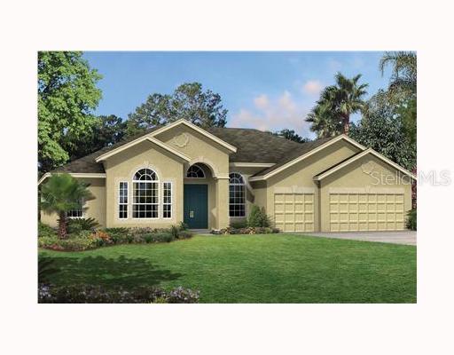 20320 Natures Corner Dr., Tampa, FL 33647