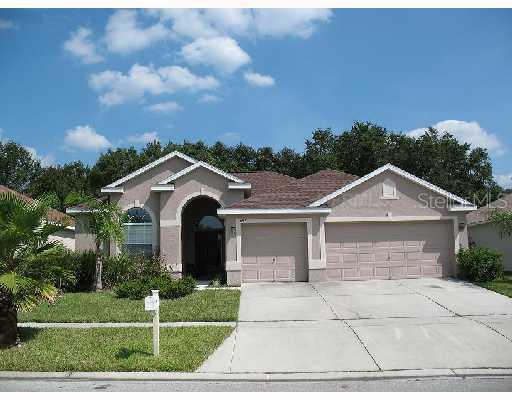 1217 Emerald Hill Way, Valrico, FL 33594