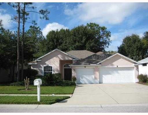 5609 Foxtail Ct., Wesley Chapel, FL 33543