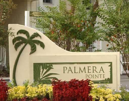 7903 Sunshine Palm Way, Tampa, FL 33615