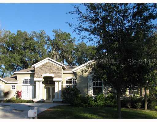 2420 Blue Stone Ct., Valrico, FL 33594