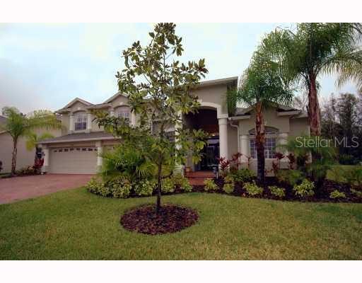 17386 Emerald Chase Dr., Tampa, FL 33647