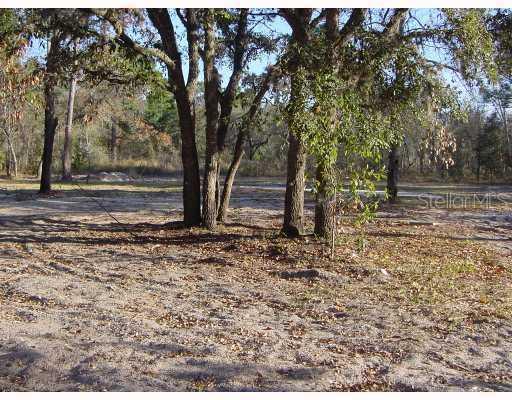 4240 Habitat Dr., Brooksville, FL 34604