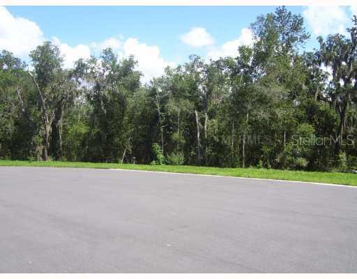 9 June Bug Ln., Brooksville, FL 34602