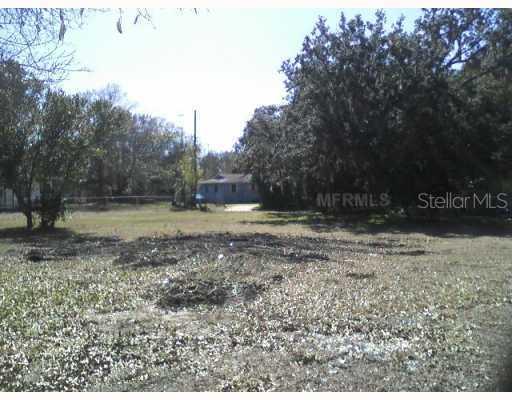 13202 Beech St., Odessa, FL 33556