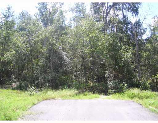 June Bug Tr., Brooksville, FL 34602