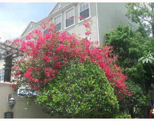 1419 Harbour Walk Rd., Tampa, FL 33602