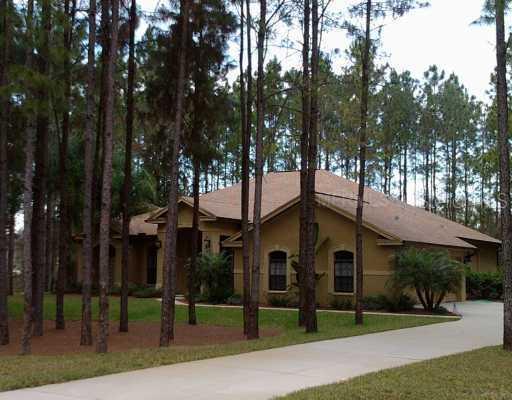 314 Pine Bluff Dr., Lutz, FL 33549