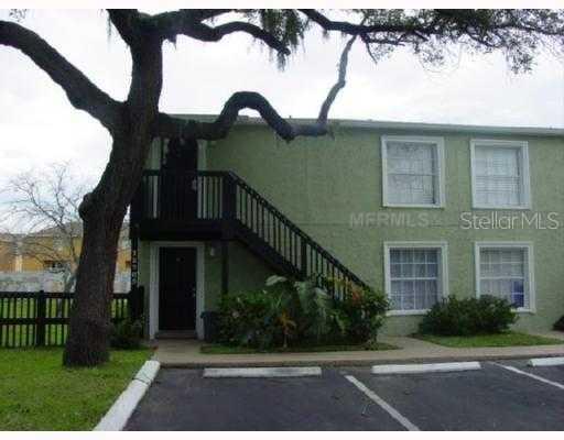 12705 English Hls Ct., Tampa, FL 33617