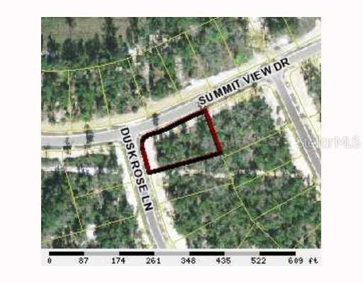 Dusk Rose Or Summit View, Brooksville, FL 34601