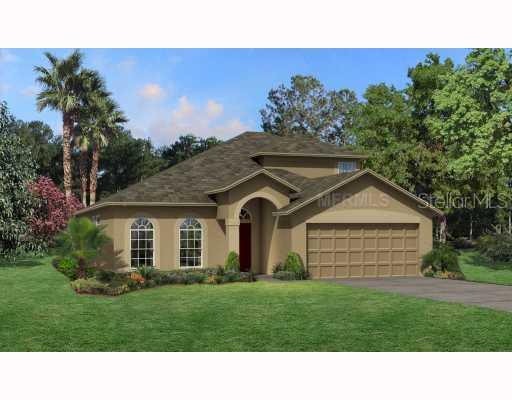 5910 Tulip Flower Dr., Riverview, FL 33578