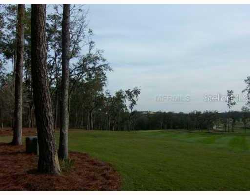 19502 Autumn Oak Ln., Brooksville, FL 34601