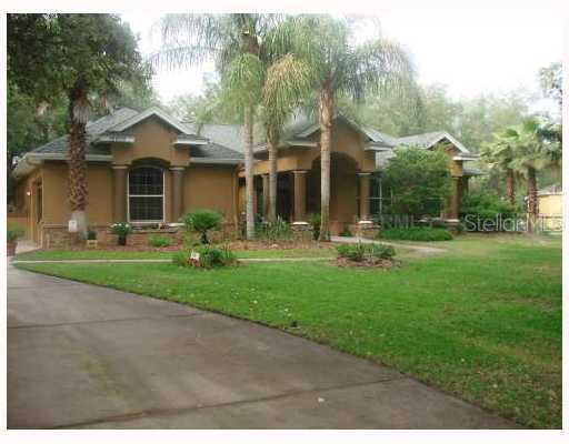 19909 Arbor Path Pl., Lutz, FL 33559