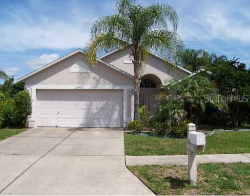 29429 Tansy Pass, Wesley Chapel, FL 33543