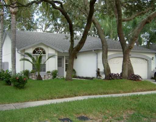 4004 Fontana Pl., Valrico, FL 33596