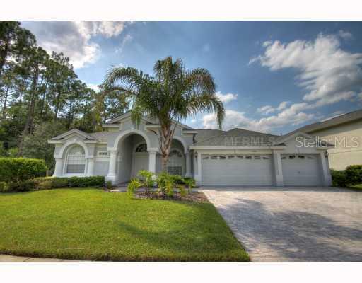 17308 Emerald Chase Dr., Tampa, FL 33647