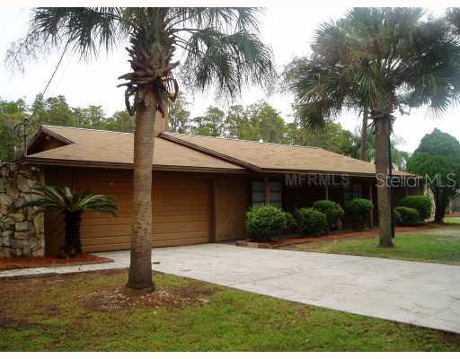 17101 Bridlepath Ct., Lutz, FL 33558