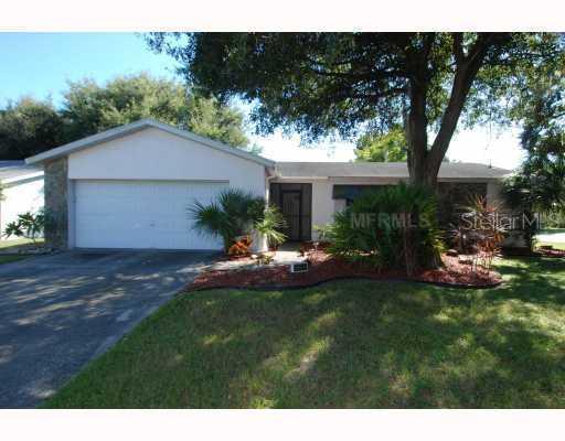 11203 Fiddlewood Dr., Riverview, FL 33579