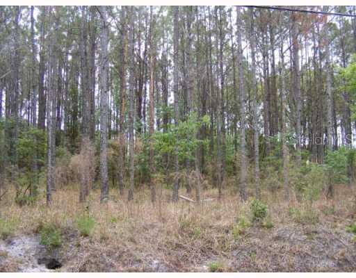 2003 Clement Rd., Lutz, FL 33549