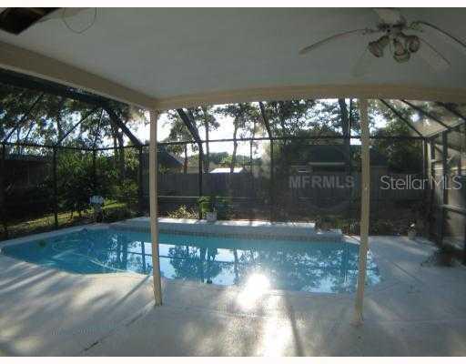 1113 Jambalana Dr., Holiday, FL 34691