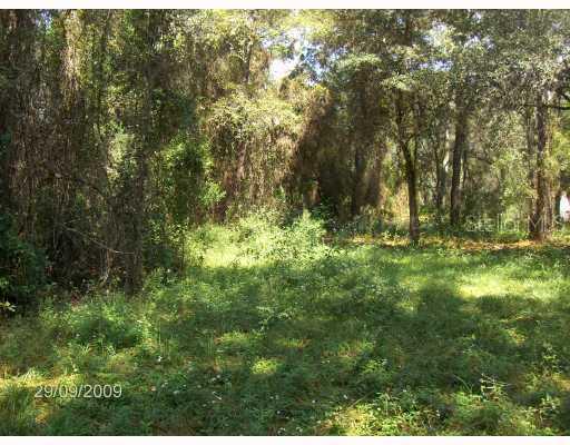 [Address Hidden by Seller], Spring Hill, FL 34606