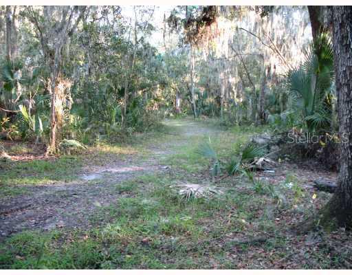 7207 Alafia Ridge Rd., Riverview, FL 33569