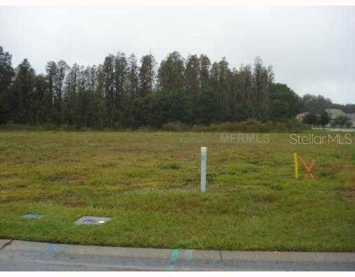 17428 Varona Pl., Lutz, FL 33548